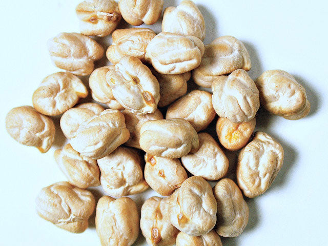 煮込んでも形が崩れにくい　イタリア産ひよこ豆（ガルバンゾービーンズ）（100ｇ）