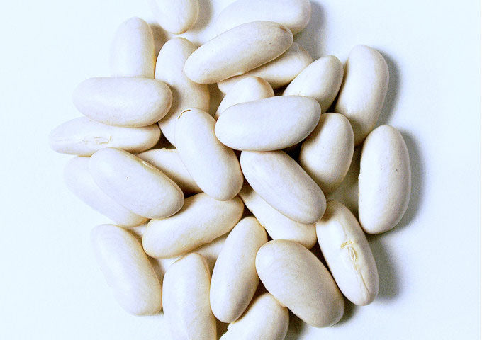料理の付け合せやスープにおすすめ　イタリア産白いんげん豆（100ｇ）